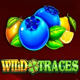 Wild Traces – slot by Amusnet Interactive, featured at spinsy-casinoo.com