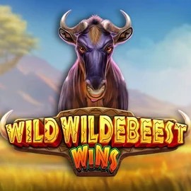 Wild Wildebeest Wins online game logo by Pragmatic Play on spinsy-casinoo.com